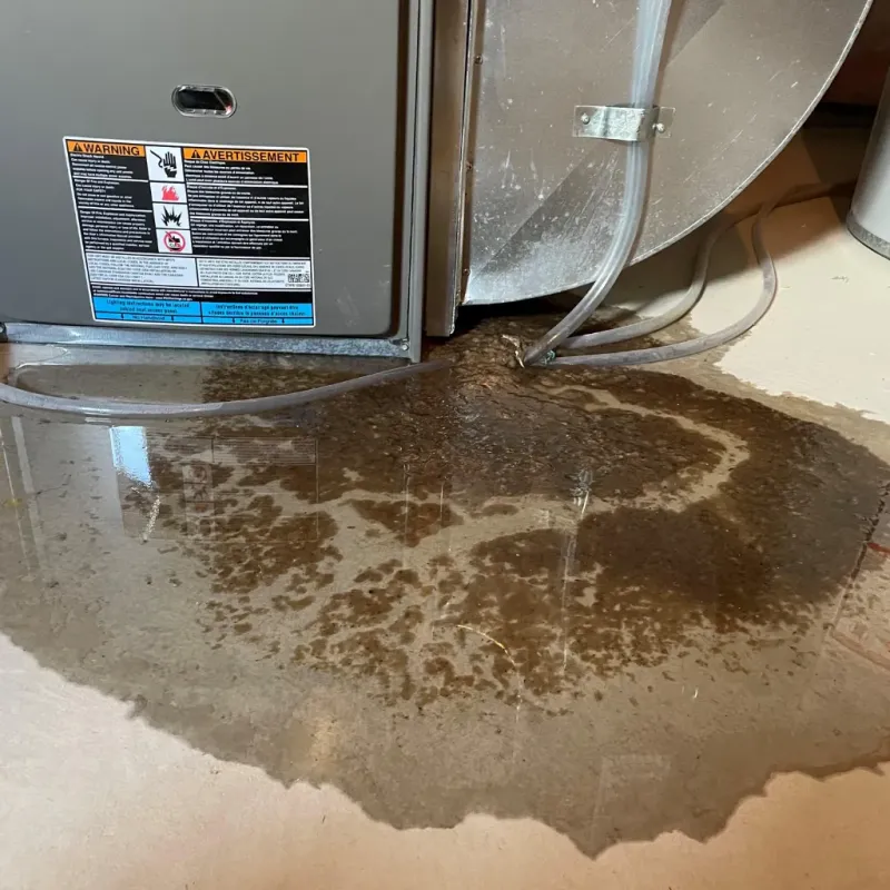 Appliance Leak Cleanup in Easton, CT